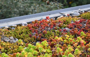 the cost of Hasfield green roof installation