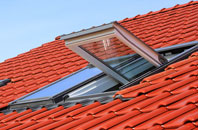 Hasfield roof window